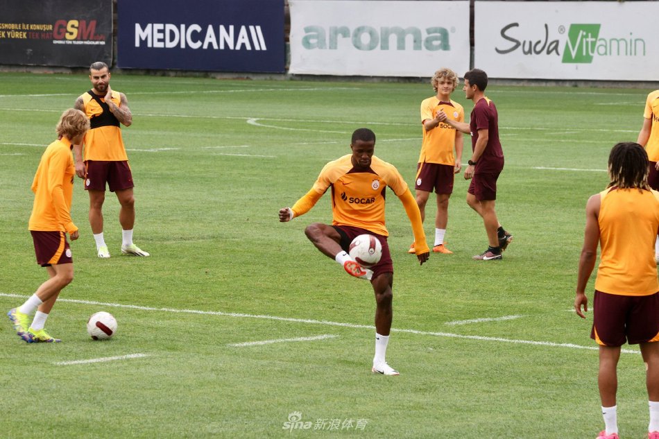 战术布置被 战术布置被